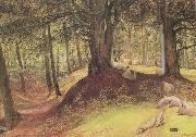 Parkhurst Woods,Abinger (mk46) Richard Redgrave,RA